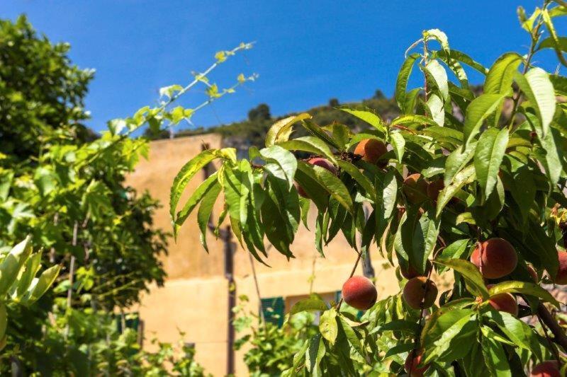 Agriturismo La Selva Hotel Finale Ligure Exterior foto