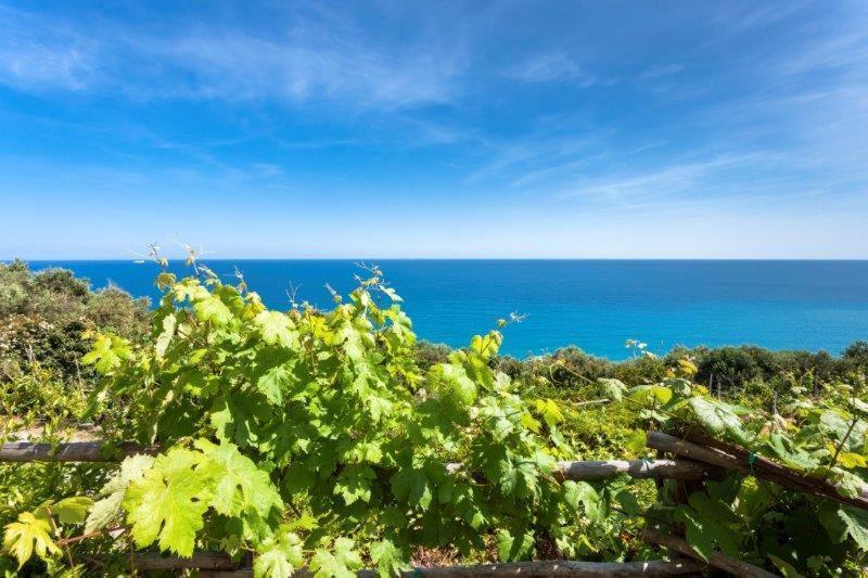 Agriturismo La Selva Hotel Finale Ligure Exterior foto