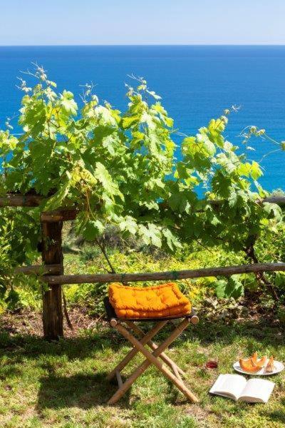 Agriturismo La Selva Hotel Finale Ligure Exterior foto