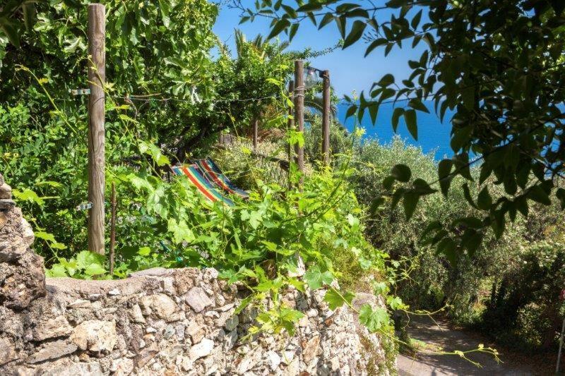 Agriturismo La Selva Hotel Finale Ligure Exterior foto