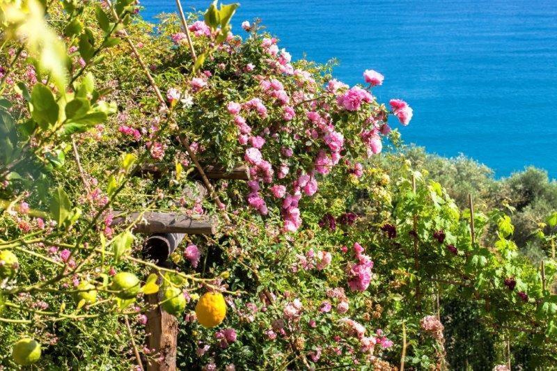 Agriturismo La Selva Hotel Finale Ligure Exterior foto