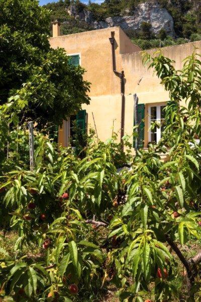 Agriturismo La Selva Hotel Finale Ligure Exterior foto