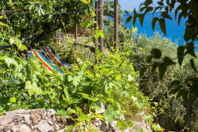 Agriturismo La Selva Hotel Finale Ligure Exterior foto